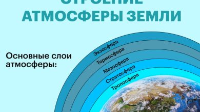 Photo of Уникальное расположение и природная атмосфера